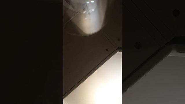 готовим большое печенье в микроволнавке