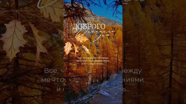 Доброе осеннее утро