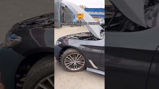 Короткие забавные авторолики 😏