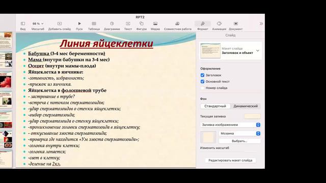 РПТ 2. Ч1. Создание яйцеклетки (28.09.24)