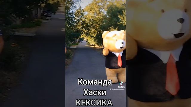 Команда Хаски КЕКСИКА