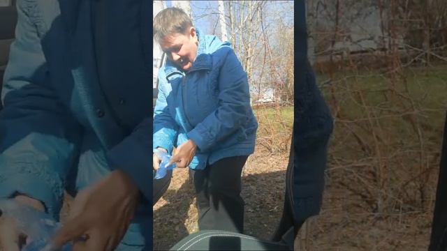 когда зять купил машину и решил прокатить тёщу