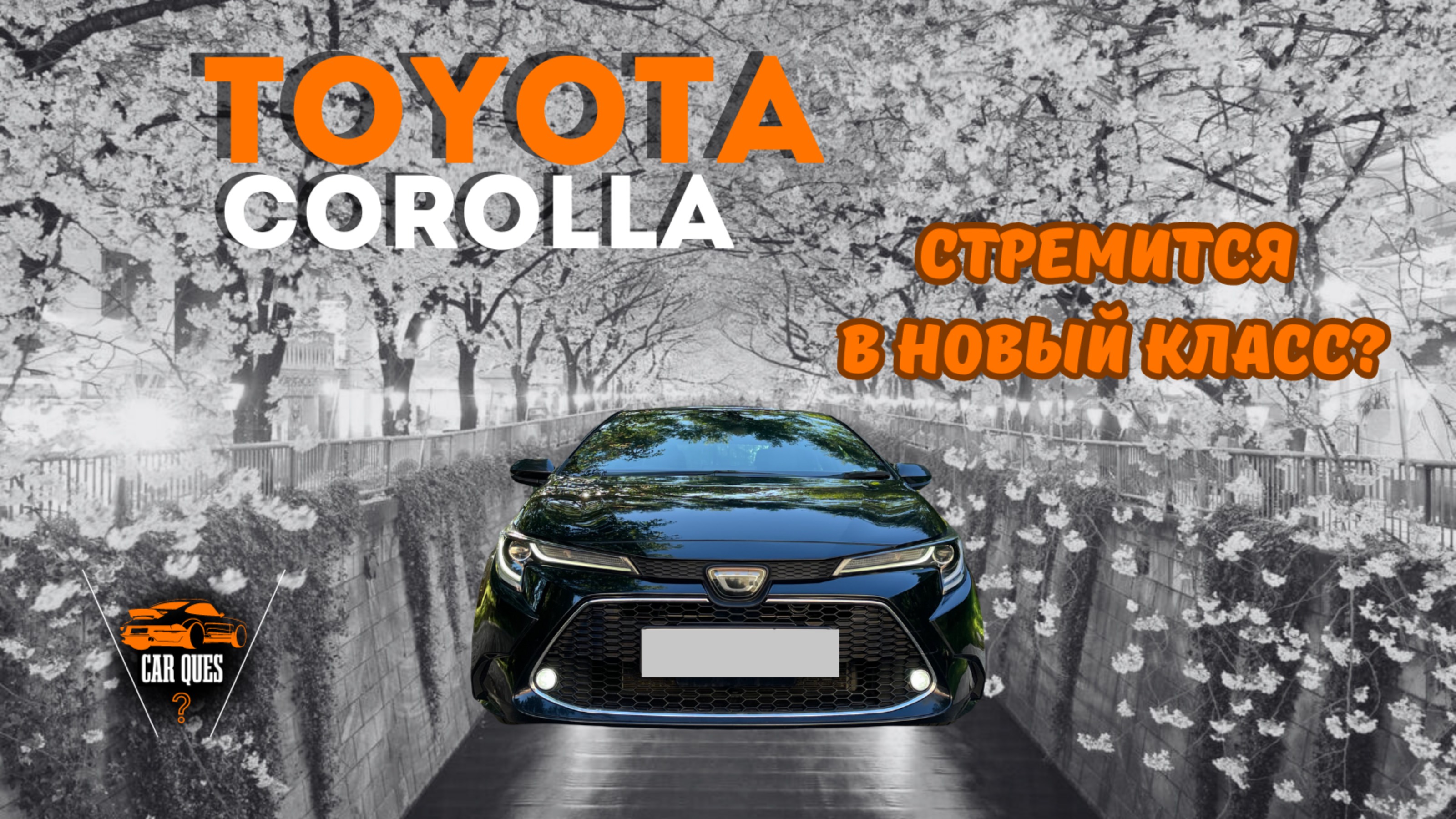 Обзор Toyota corolla 2020 | комплектация WxB | Car Ques