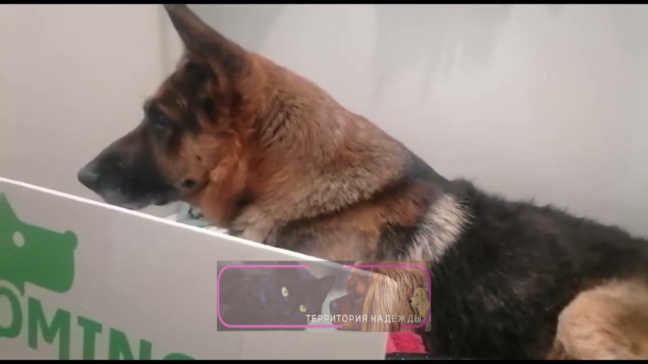 Отчет о собранных денег.