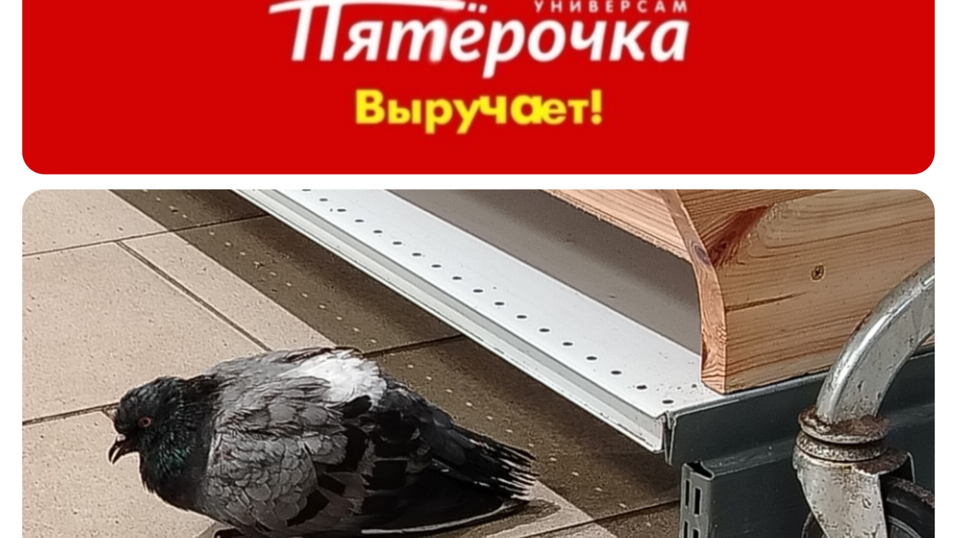 Пятёрочка выручает 😅