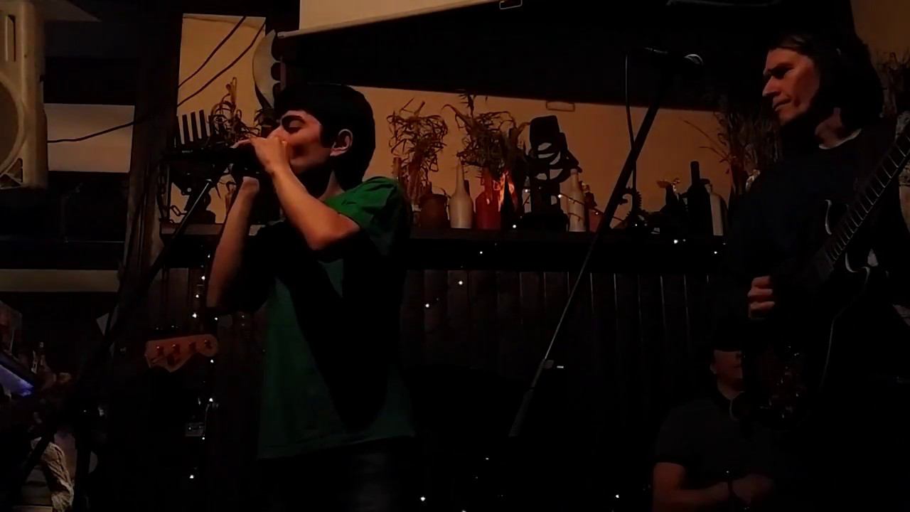 #губная_гармошка #harmonica демовидео1 #stratocastro