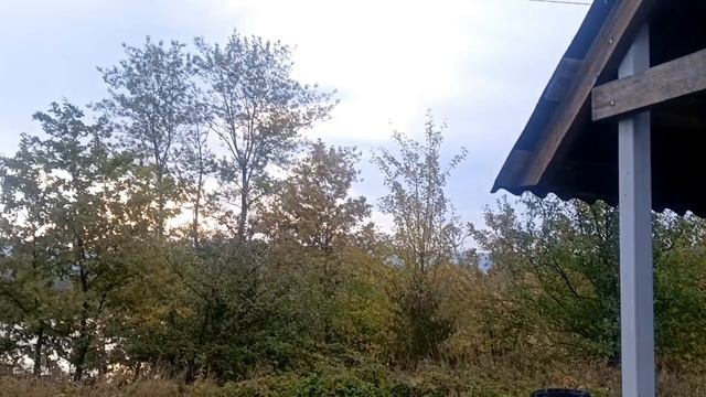 Рыбалка под Майкопом
