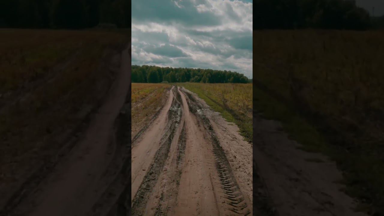 Дороги - это там для этих... #cycling #cinematic #gravelbike #offroad #shorts #gopro