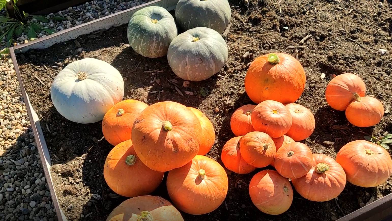 Сентябрь 2024