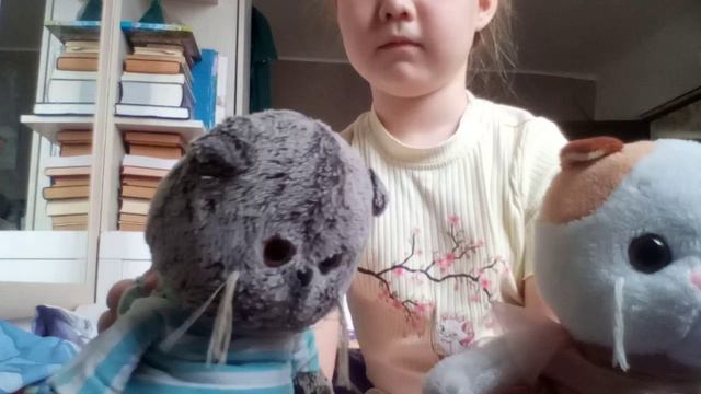 VID_20240929_115236.3gp