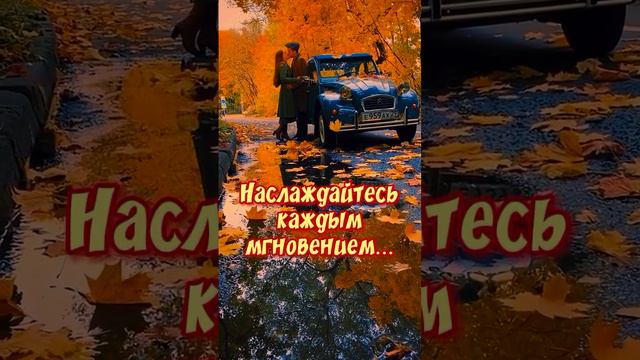 #доброеутро #рекомендации #музыкальнаяоткрытка #пожелания подписка лайки 🤎🤎🤎