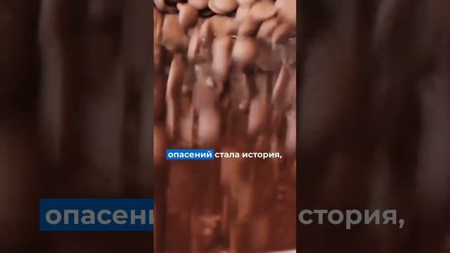 А вы знали, что какао-напиток в Европе был под запретом?