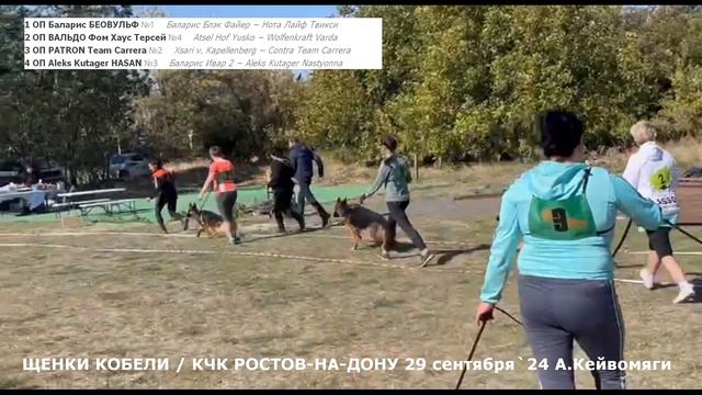 ЩЕНКИ КОБЕЛИ / КЧК РОСТОВ-НА-ДОНУ 29 сентября`24 А.Кейвомяги Монопородная выставка немецких овчарок