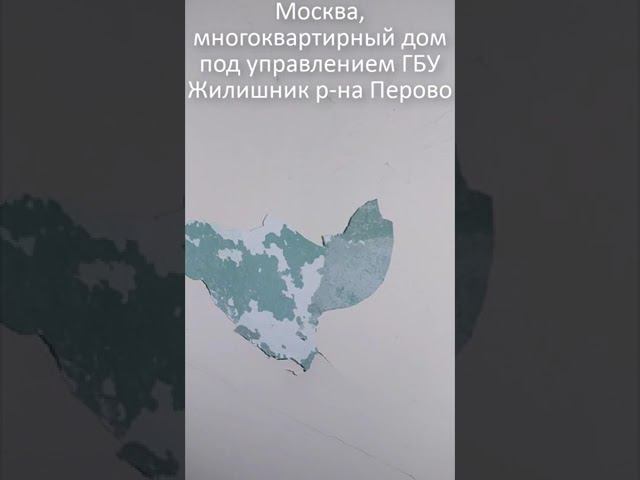 Дом в Москве под управлением ГБУ Жилищник р-на Перово. После текущего ремонта на лестнице. 31.01.23