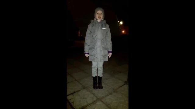 8  Школа № 7   Богуш Александра mp4