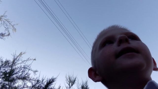 смешные\истории