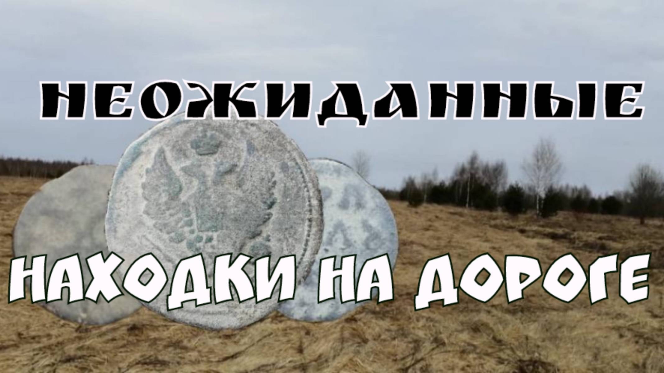 НЕОЖИДАННЫЕ НАХОДКИ НА ДОРОГЕ ПРОХОДЯЩЕЙ ОТ ТРЁХ ДЕРЕВЕНЬ.ПОИСК МОНЕТ И СТАРИНЫ С ЭКВИНОКС 800.