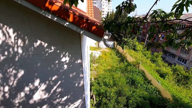 Супер дом в Сочи! Большой участок! Снижение цены!