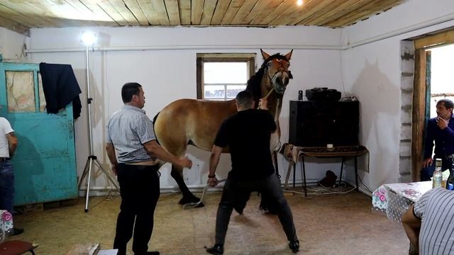 Унеча на крестинах дома у Руслана Коник мой коник цыганское видео в Брянске и других городах России