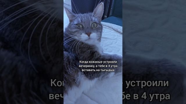 Когда кожаные устроили вечеринку