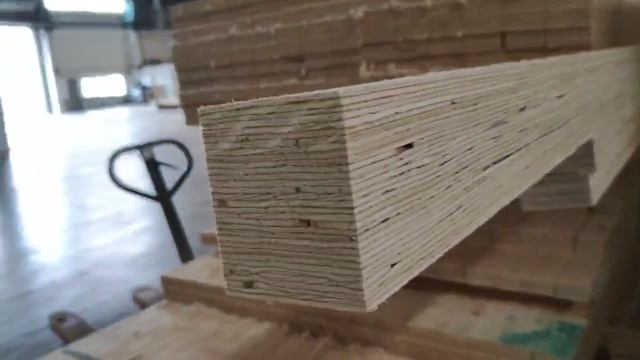 video5454038790047806511