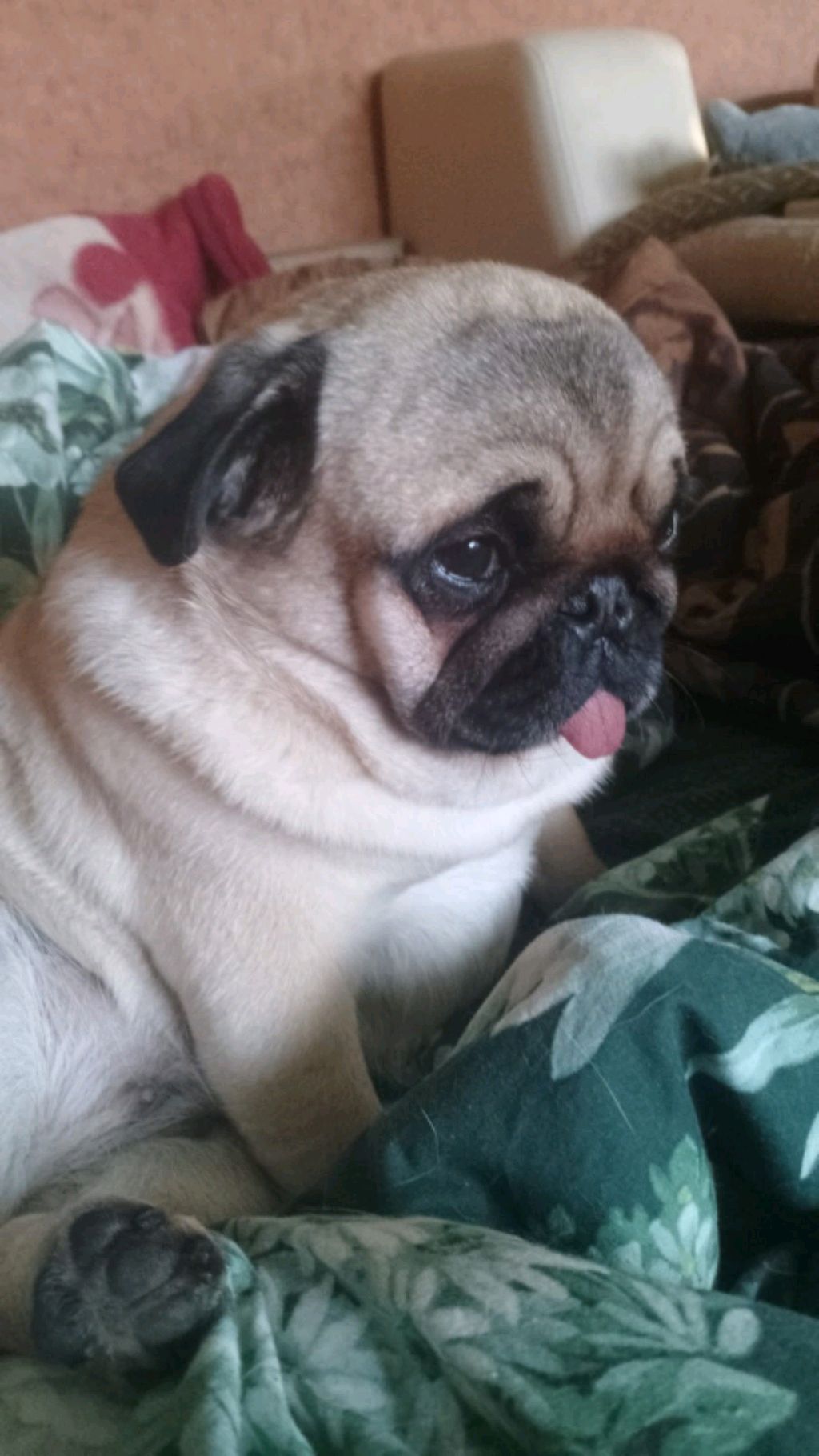 13 ОТЖИМАНИЙ на пальцах