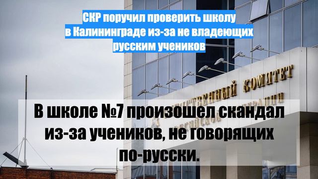 СКР поручил проверить школу в Калининграде из-за не владеющих русским учеников