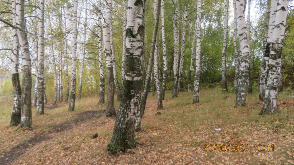 г Рыбинск. Золотая Осень ! 30 сентября 2024 год.