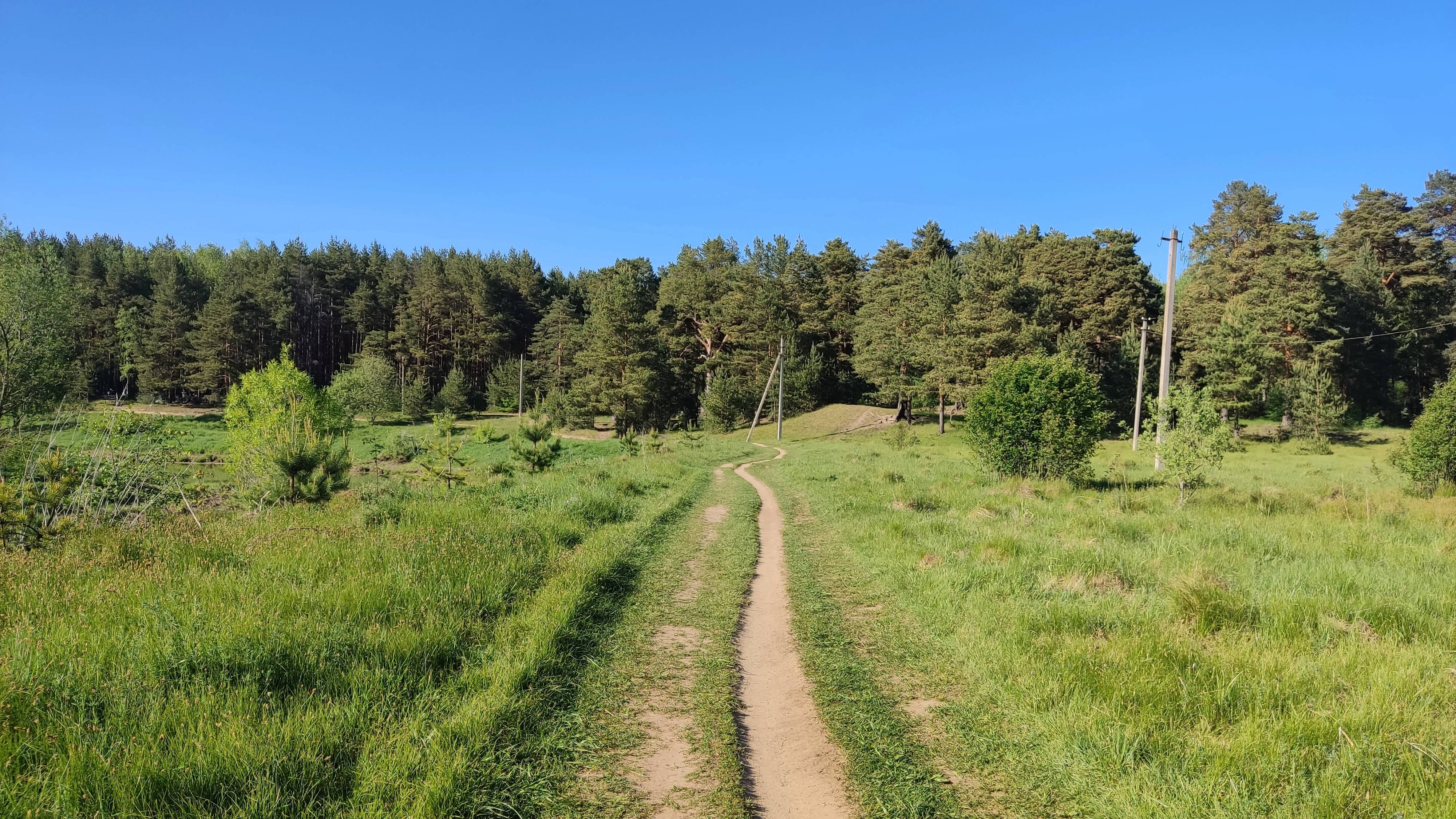 Прогулка у Клязьмы🌳😍Благодать в Больших Дворах🖐🌿Павлово-Посадский район#Подмосковье 30.05.2024