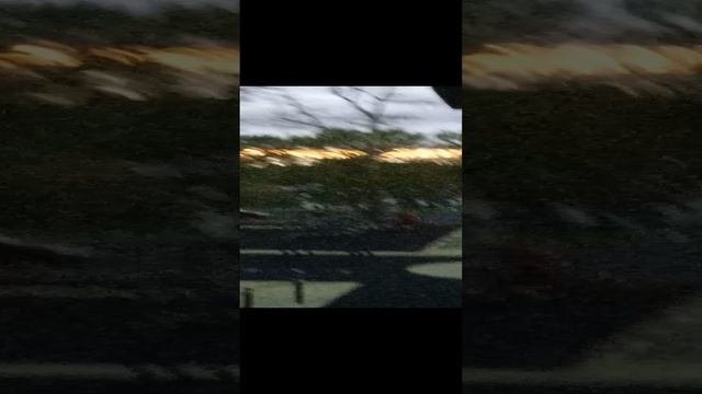 1000206089.mp4