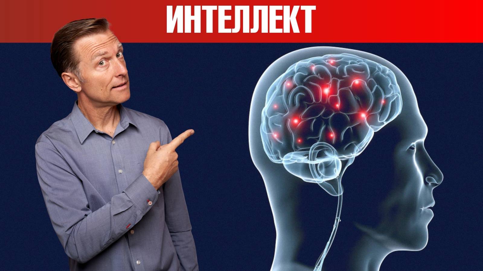 4 минерала, влияющих на уровень IQ. Главные витамины для мозга🧠