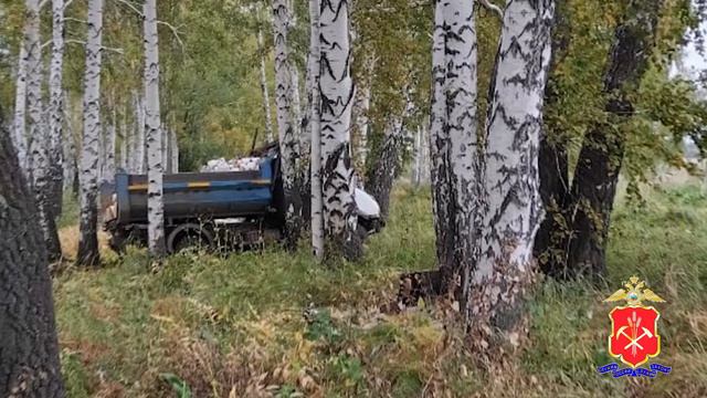 В Крапивинском округе возбуждено уголовное дело в отношении местного жителя, срубившего 9 бере