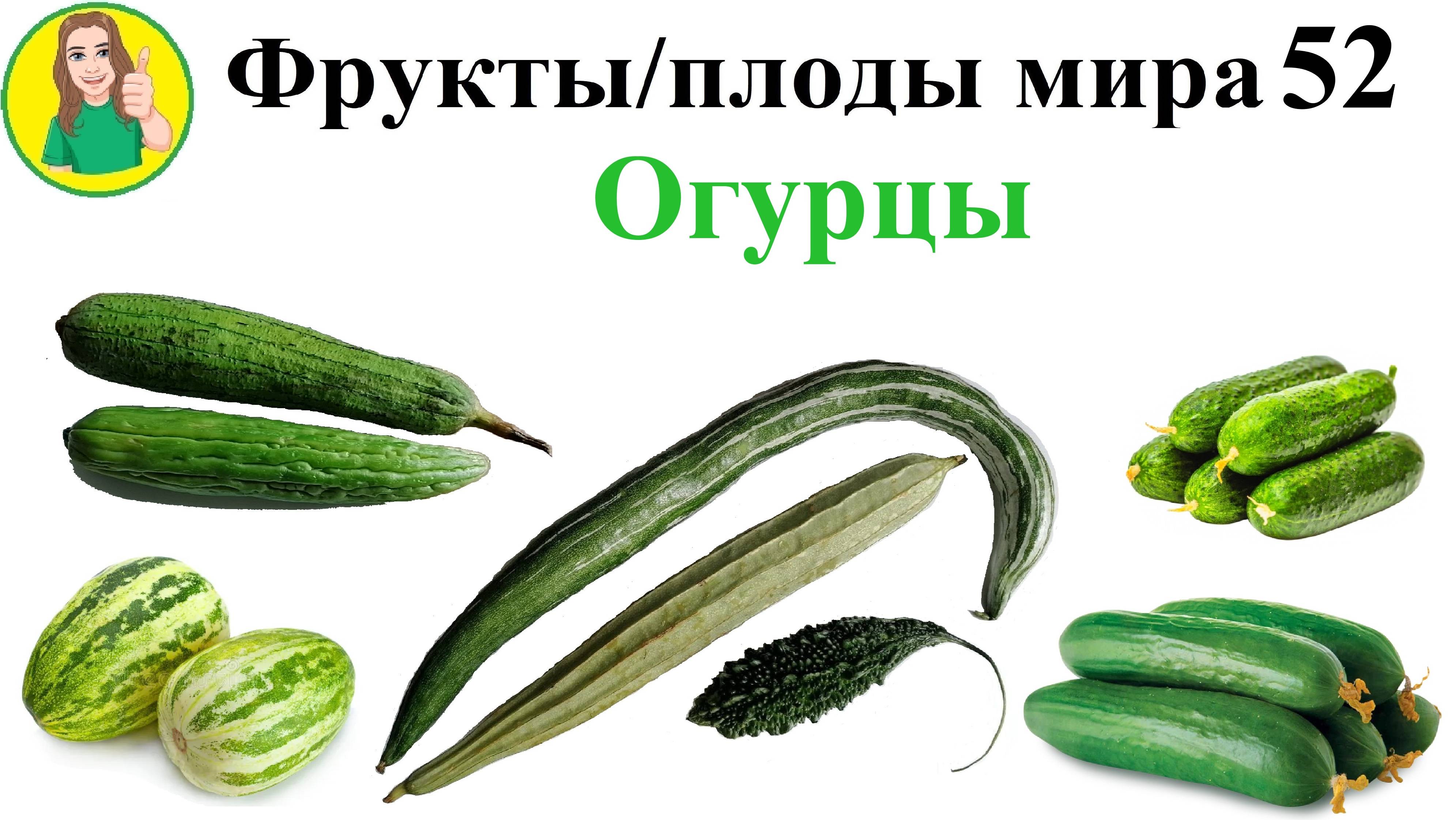 Фрукты - плоды мира 52 – Огурцы Сыроедение Фрукторианство