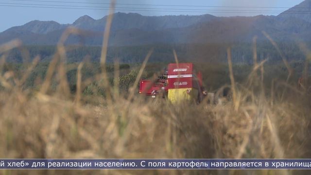 На юге Сахалина стартовала большая уборочная кампания