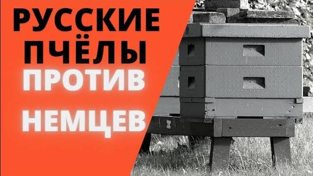 КАК ПЧЁЛЫ НЕМЦЕВ ПОБЕДИЛИ ( Военная история )