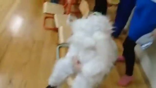 Самый грустный зайчик