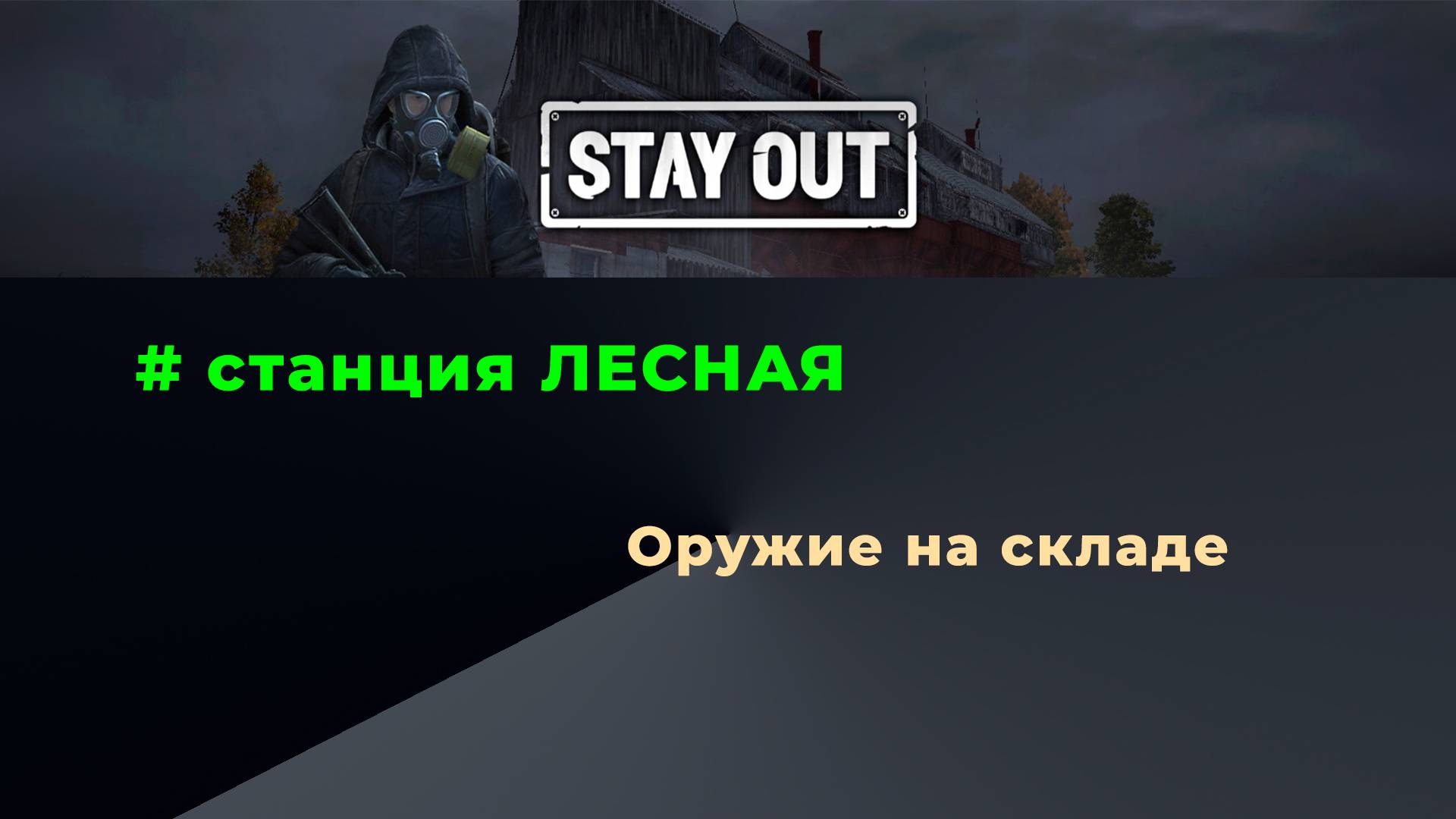 Stay Out_Станция Лесная-Оружие на складе