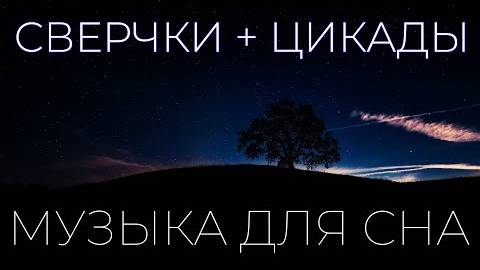 Звуки природы для сна и отдыха, сверчки в летний день. Атмосфера дикого поля-включайте от бессонницы