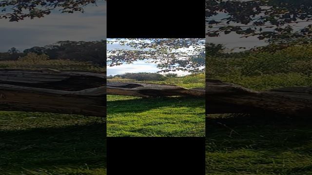 Остановились на такой вот полянке| Сплав по реке