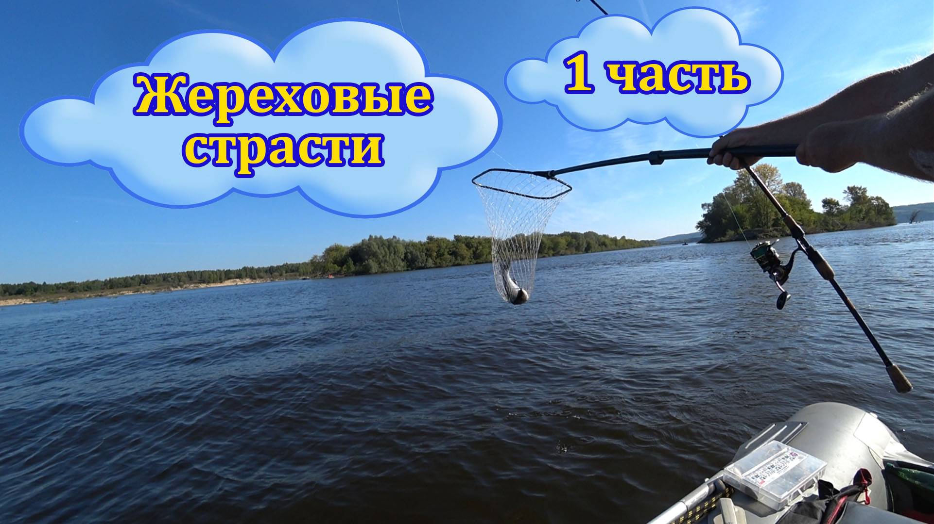 На два дня за жерехом и окунем. Часть 1. В поиске.