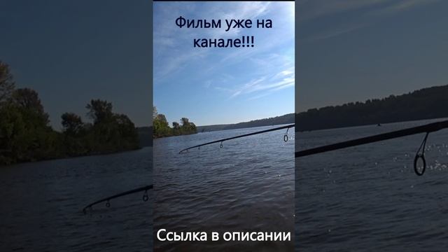 Думал монстр а оказалось...