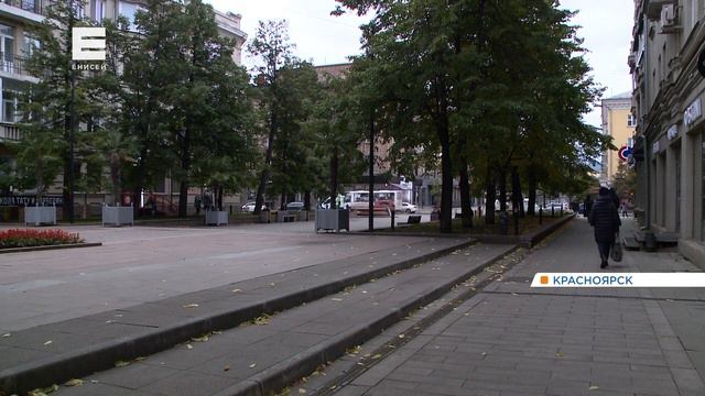 Депутаты утвердили порядок проведения слушаний, необходимых при сносе 30 и более деревьев