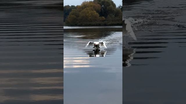 Посадка на воду.