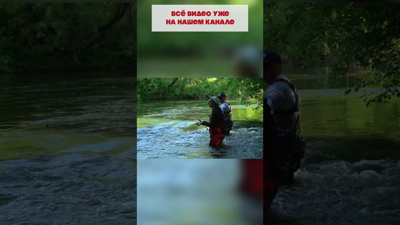 УЧУ ЛОВИТЬ АЛИСУ #norstream #рыбалка #fishing #спиннинг #fish #spinning #голавль #норстрим