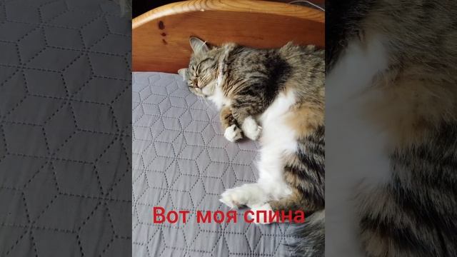 Милачка моя любимая❤️