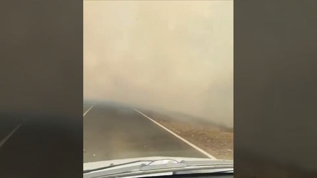 В Ростовской области ввели режим ЧС из-за лесных пожаров.

Об этом сообщил губернатор Голубев.