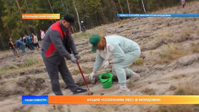 Акция "Сохраним лес" в Мордовии