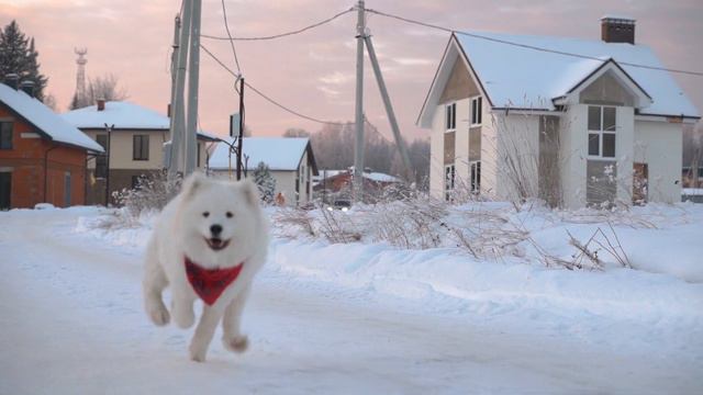 Рождество на улице Рождественской. Последние три участка в продаже!