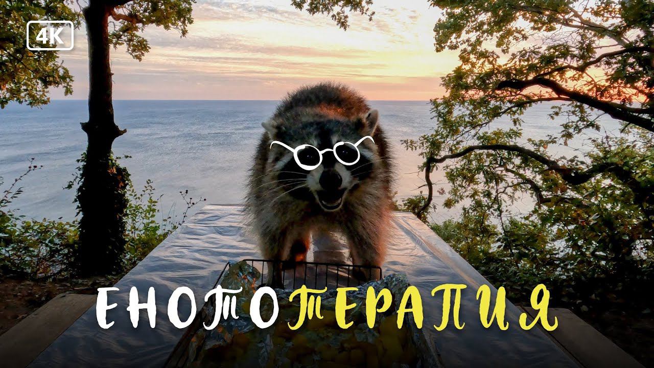 Кемпинг с детьми, или как справиться со стрессом без психолога и лекарств