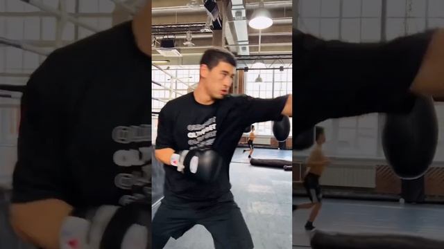 Dmitry Bivol Non-stop training ⚡️#бокс #boxing #boxeo